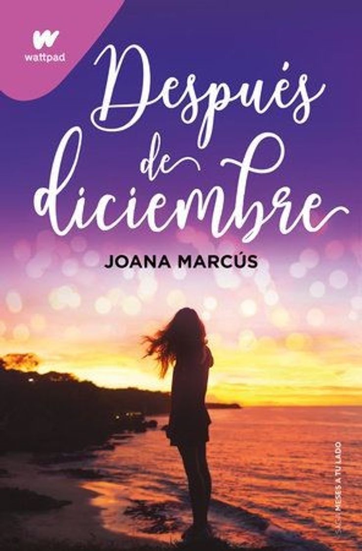 Book Después de diciembre 