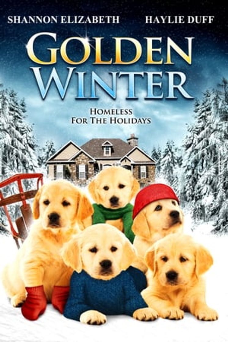 Película Golden Winter