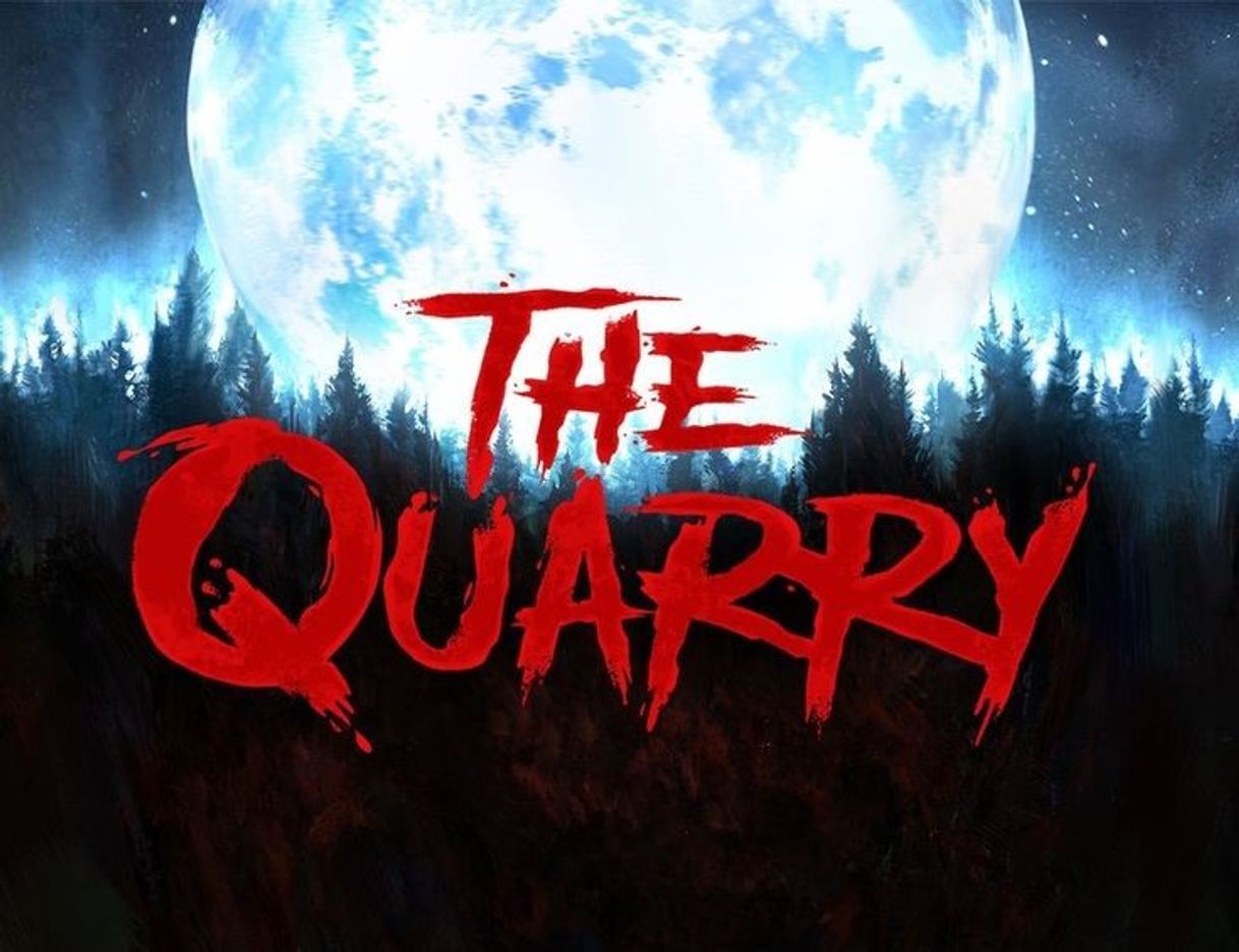 Videogames The quarry 