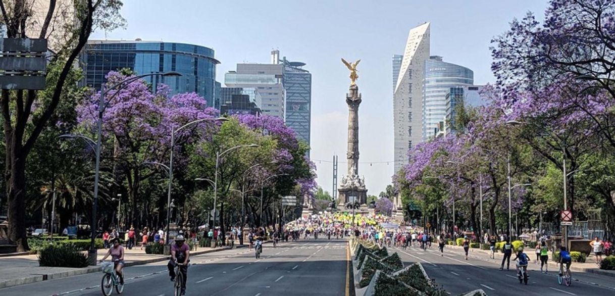 Lugar Avenida Paseo de la Reforma