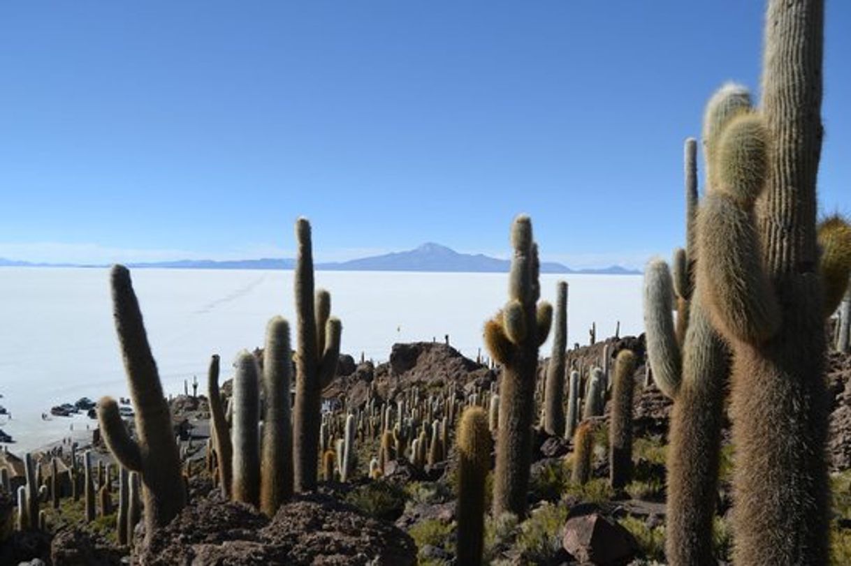 Lugares Isla Incahuasi