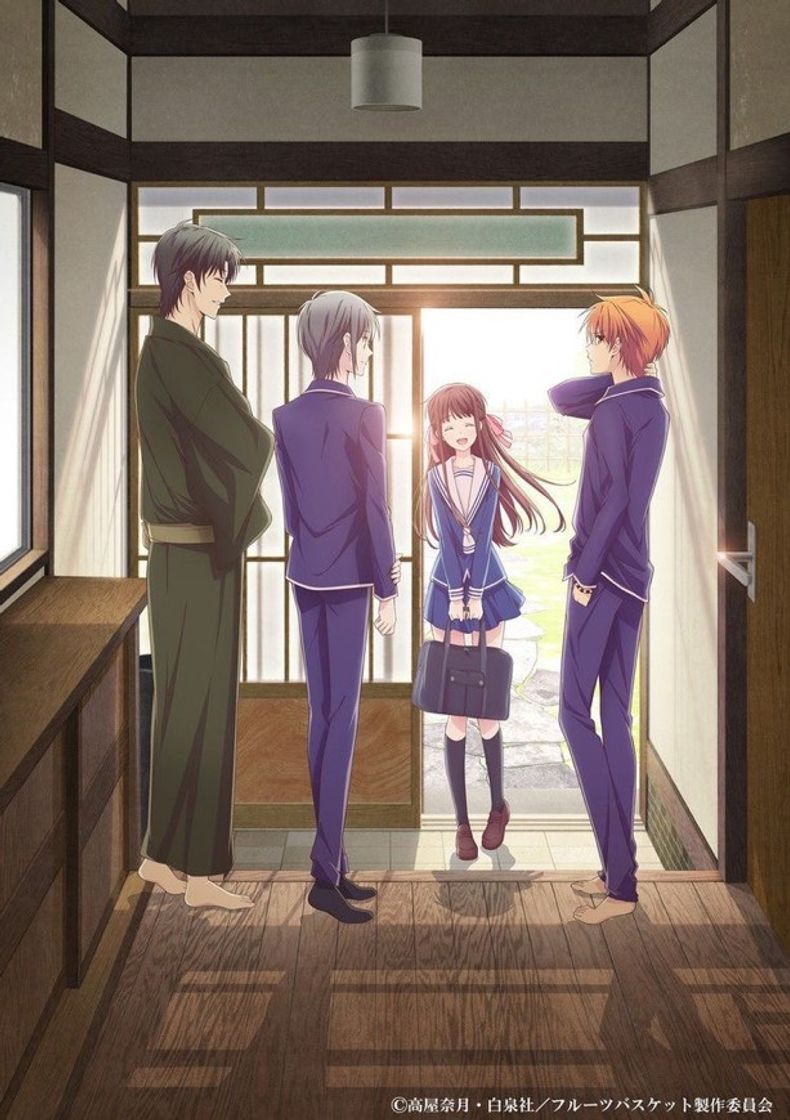 Serie Fruits Basket 