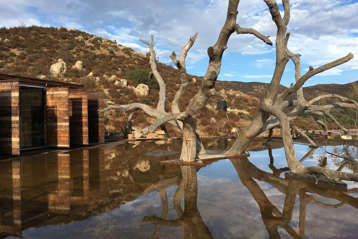 Lugar Bruma Valle de Guadalupe