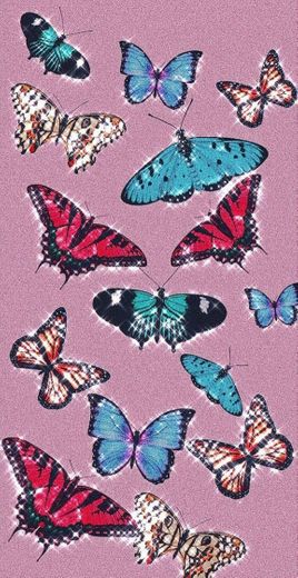 butterfly wallpaper🦋