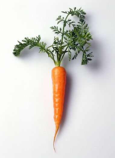 Cenoura 🥕 