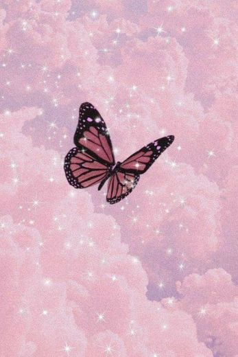 Wallpaper butterfly