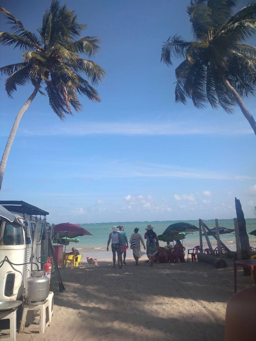 Lugar Praia de São José da Coroa Grande (Centro)