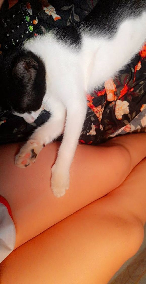 Moda Conan 🐈💞 my cat❤🥰