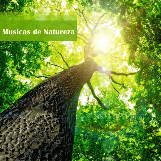 Musicas da Natureza (Agua)