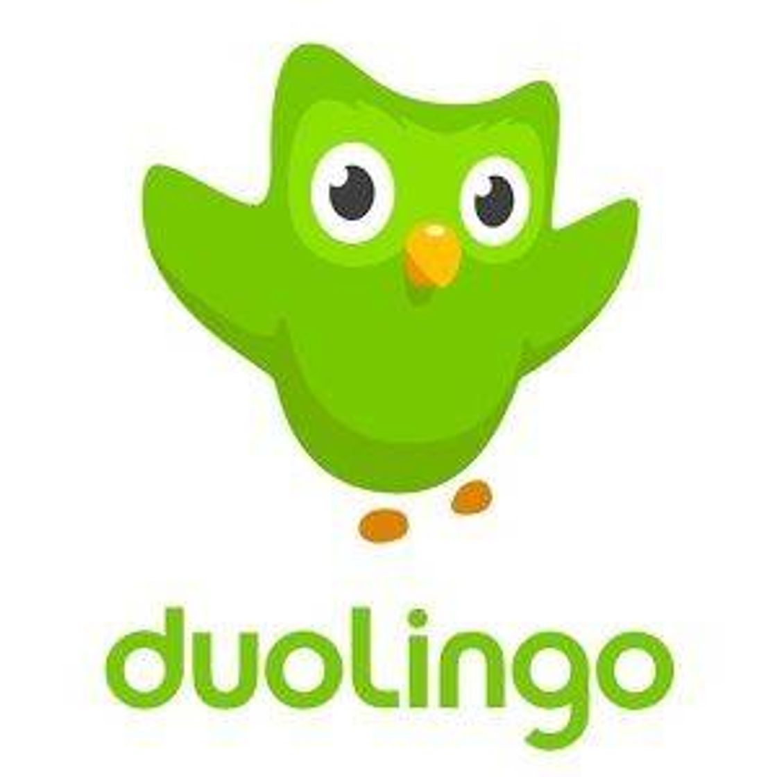 Moda Duolingo