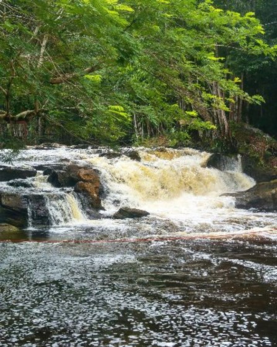 Restaurants Cachoeira dos Pássaros