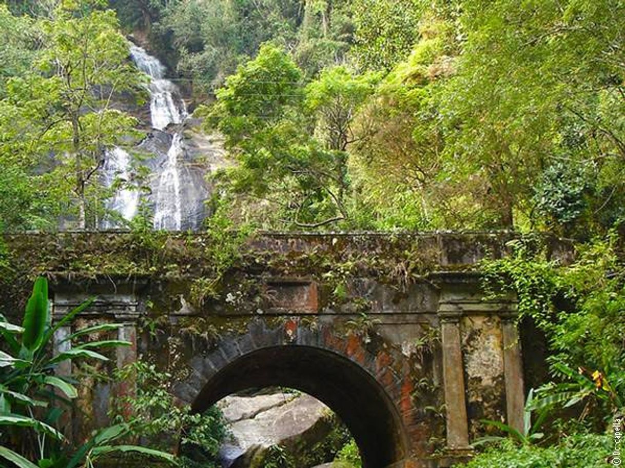 Lugar Floresta da Tijuca