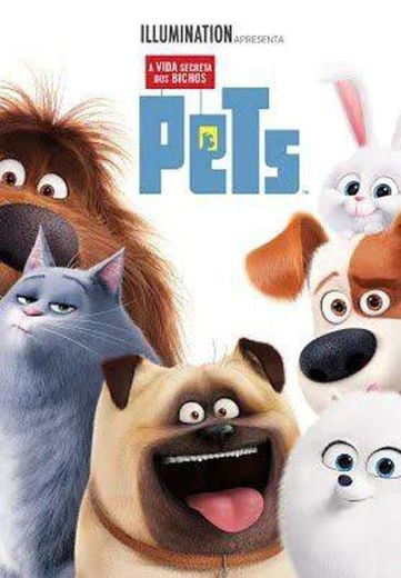 Pets - A Vida Secreta dos Bichos - Trailer Oficial