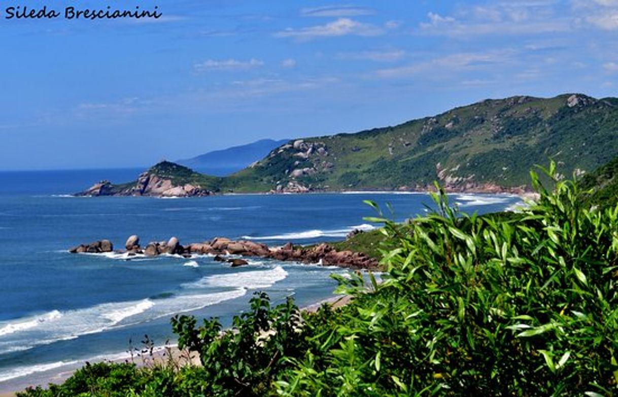 Lugar Praia Mole