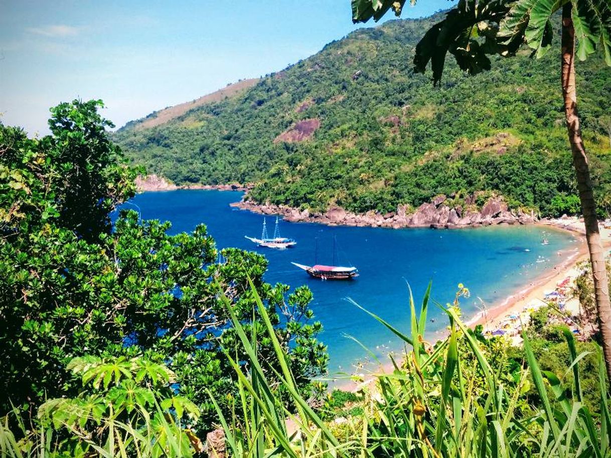 Place Ilhabela