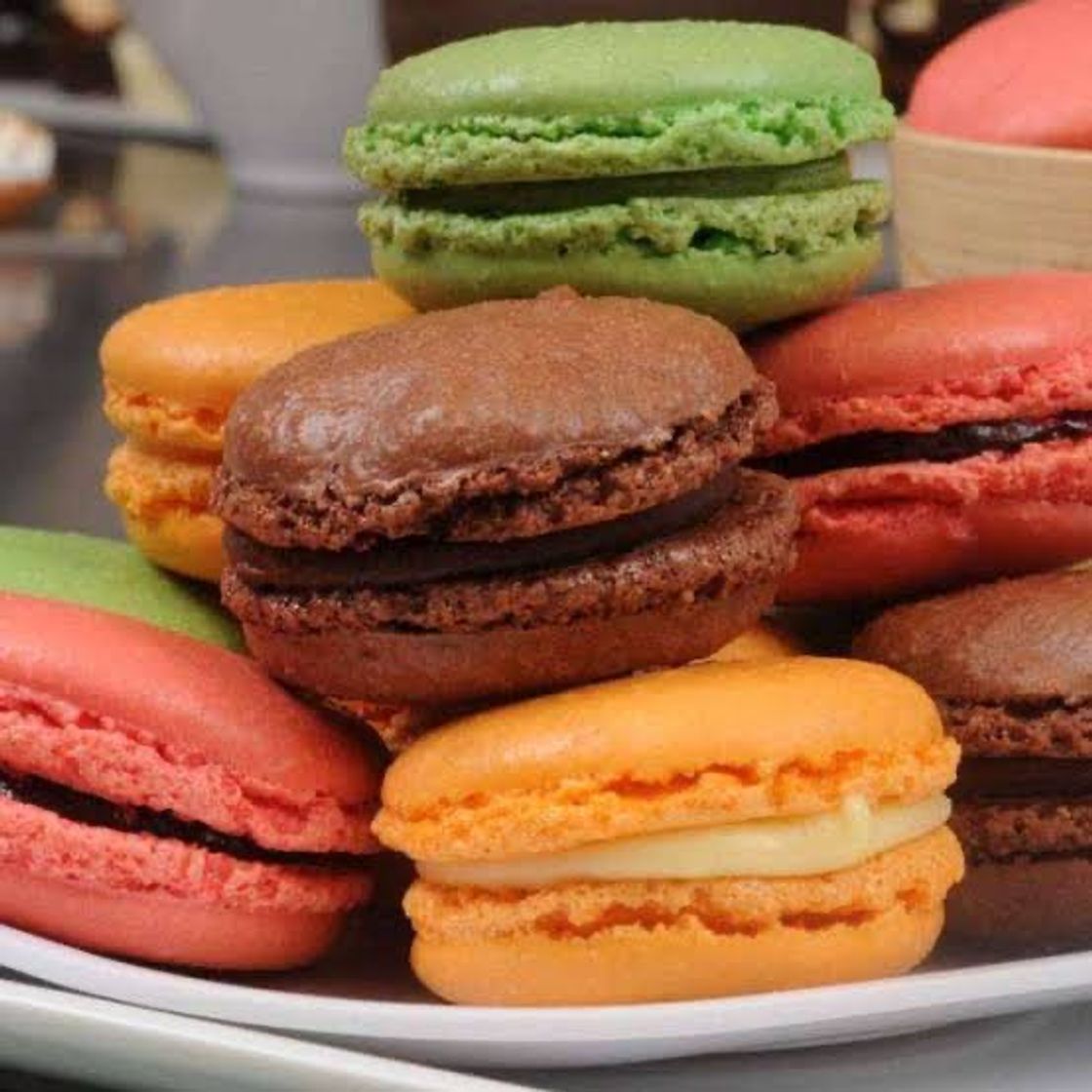 Moda Macaron 