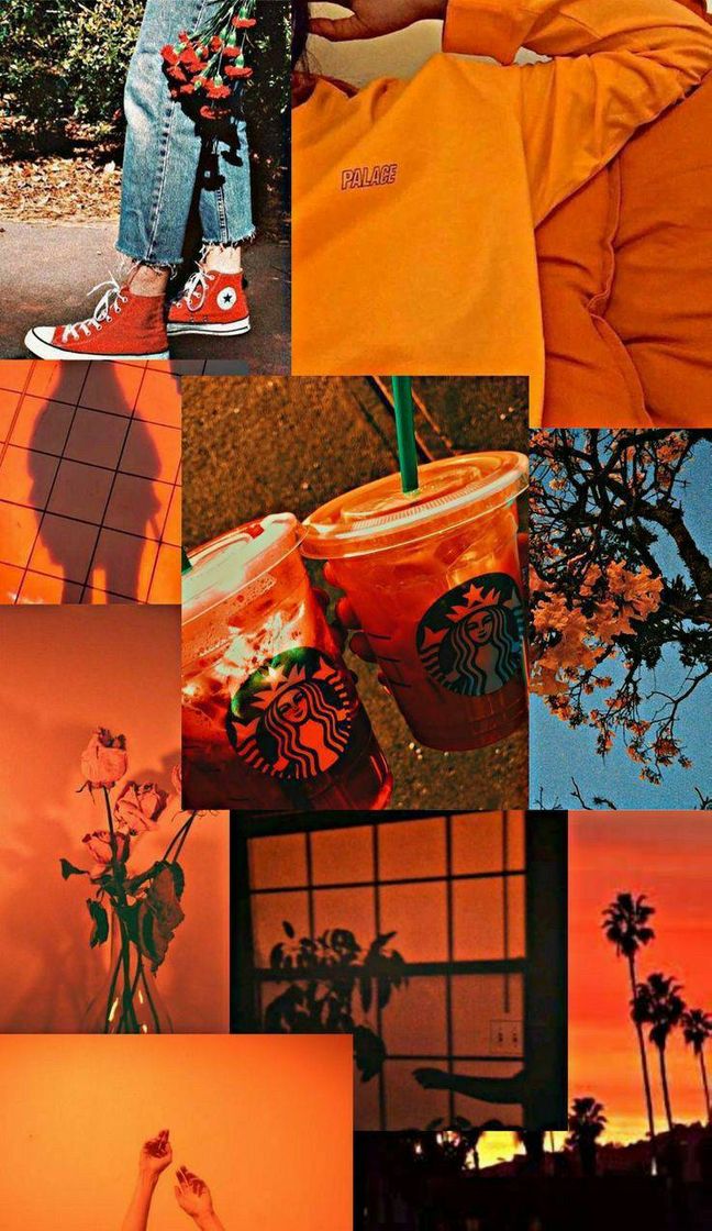 Fashion Wallpapers aesthetic laranja