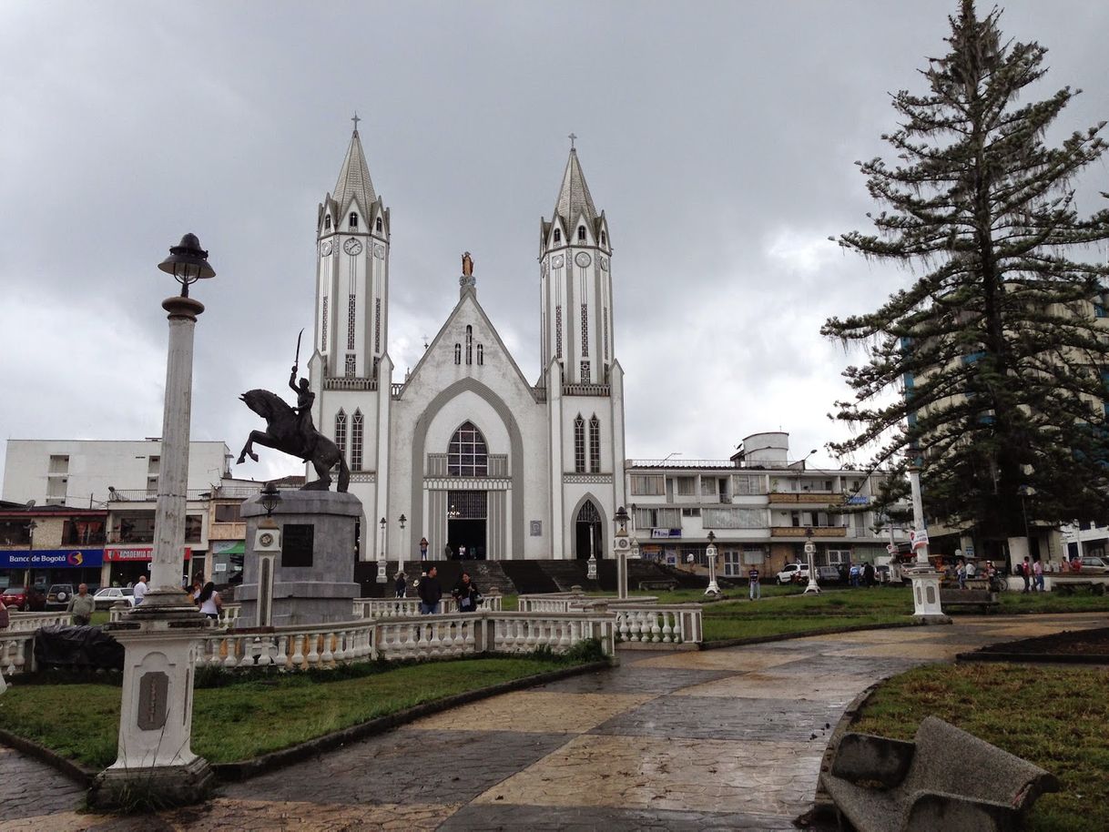 Place Santa Rosa de Cabal