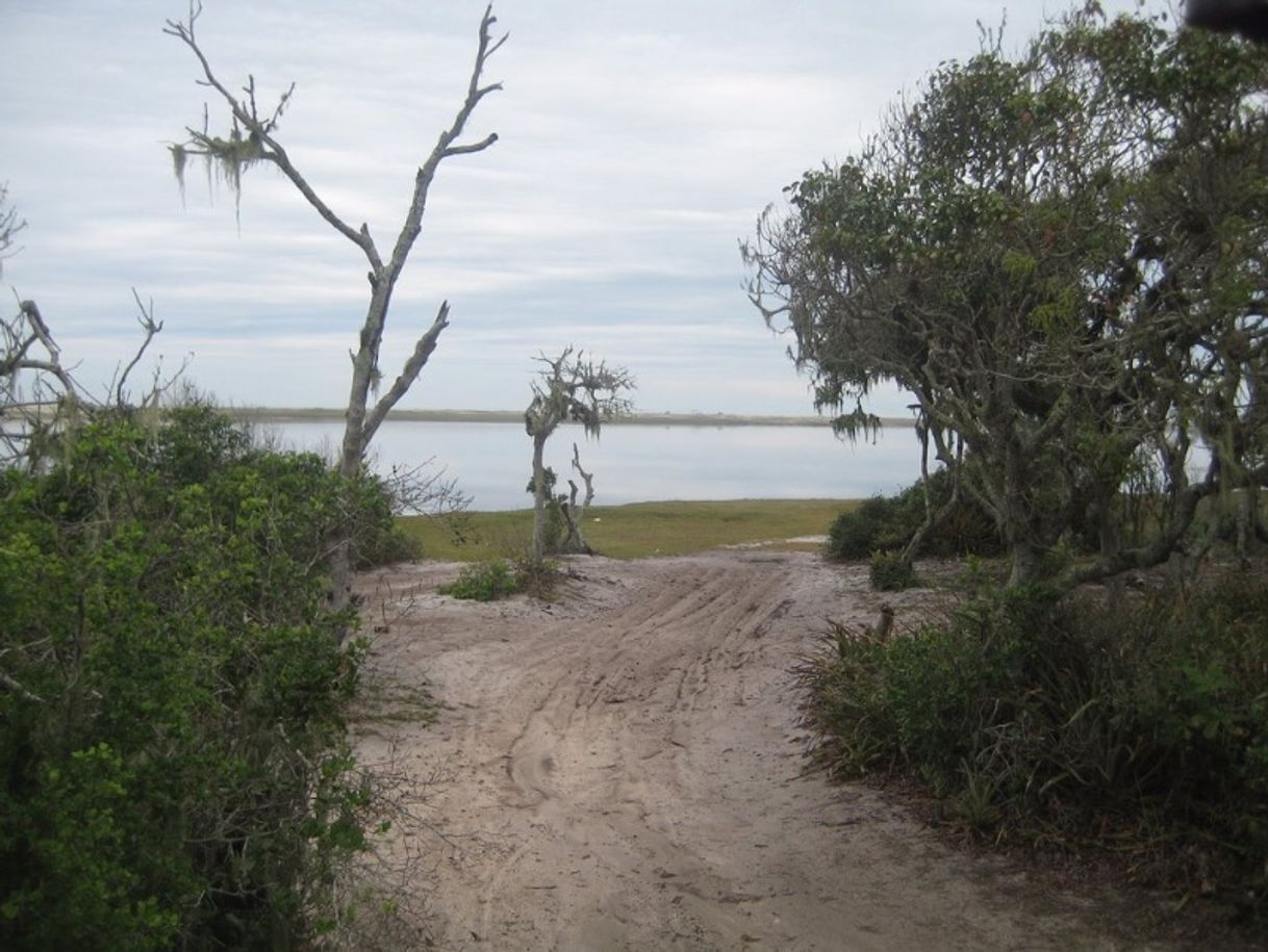 Place Parque Nacional Restinga de Jurubatiba