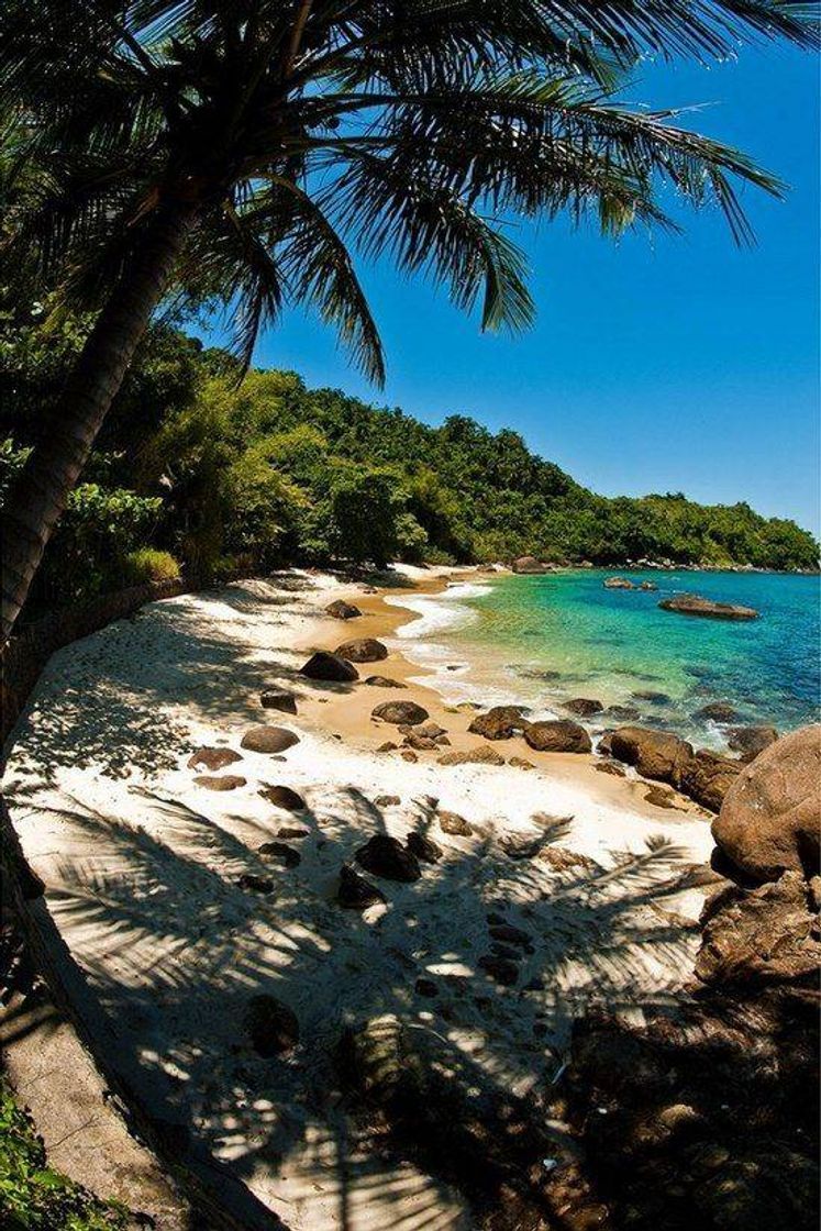 Fashion Praia do japonês Ilha 🏝️ das couves Ubatuba 😍