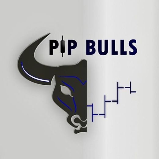 Pip Bulls Trading 