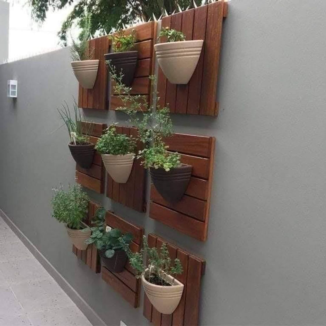 Social Botiquín de productos Blen para toda la familia 