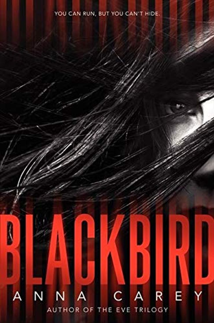 Libro Blackbird