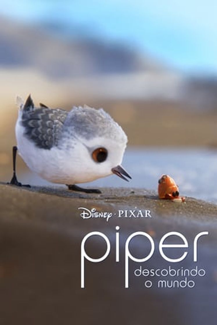 Película Piper