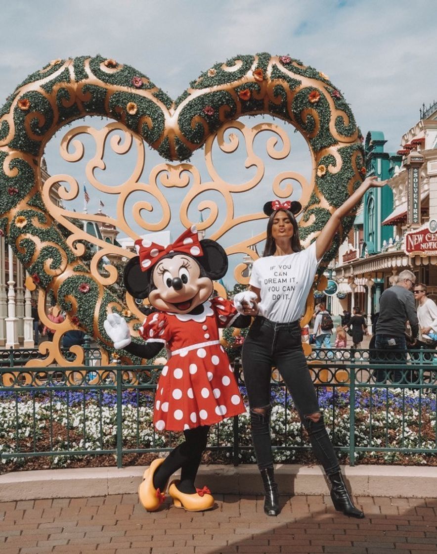 Place Disneyland Resort