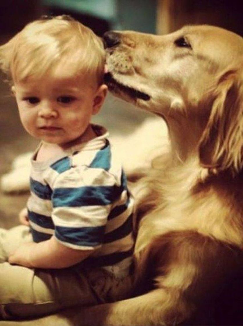 Social Animais precisam de carinho e atenção! Proteja-os!