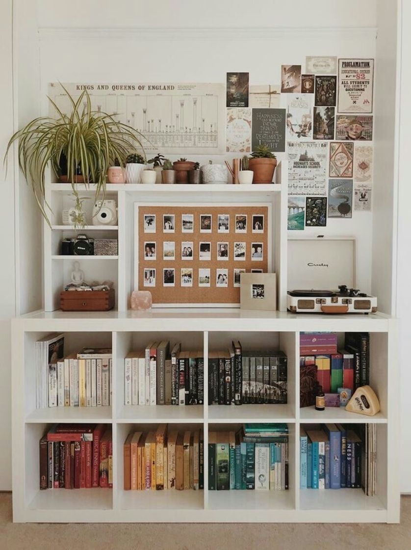 Social Decoração 