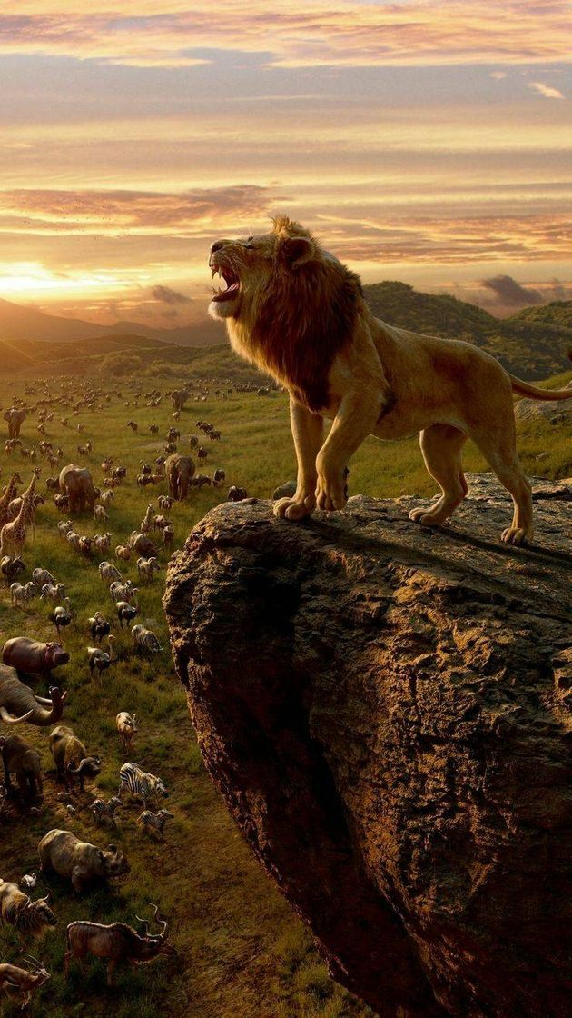 Movie El rey león