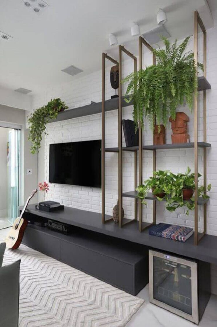 Fashion Decoração com plantas: +64 ideias e tipos de planta para dec