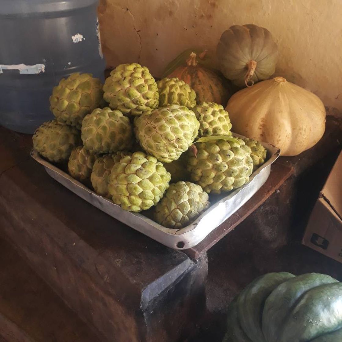 Lugar Surpresas da Terra