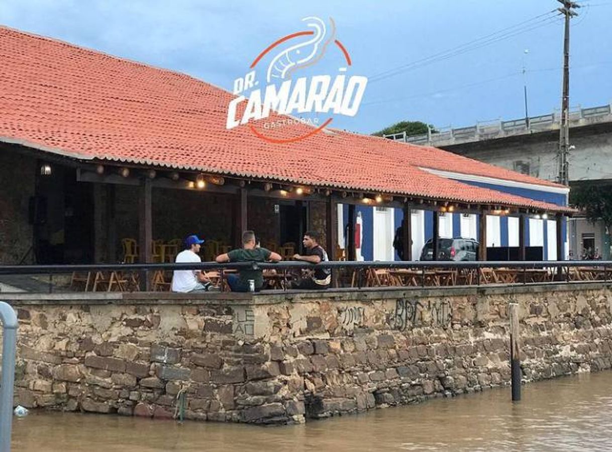 Dr. Camarão