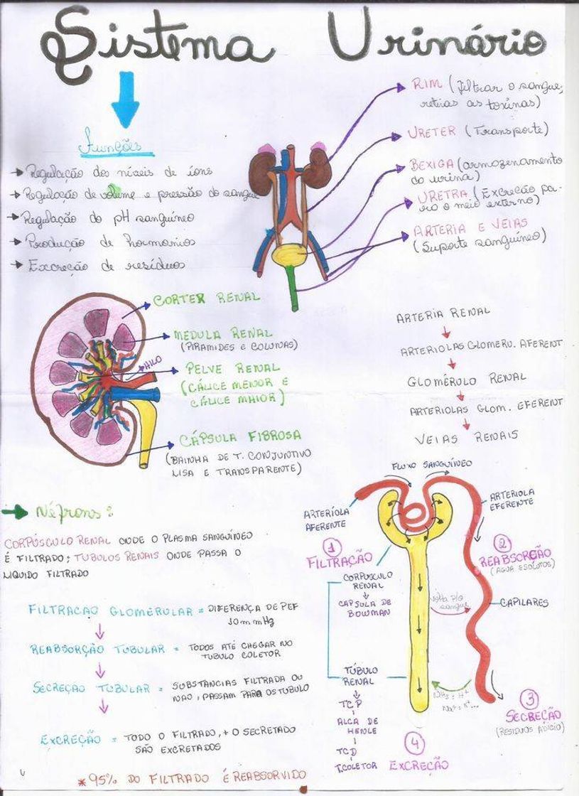 Social Jeito fácil de aprender 