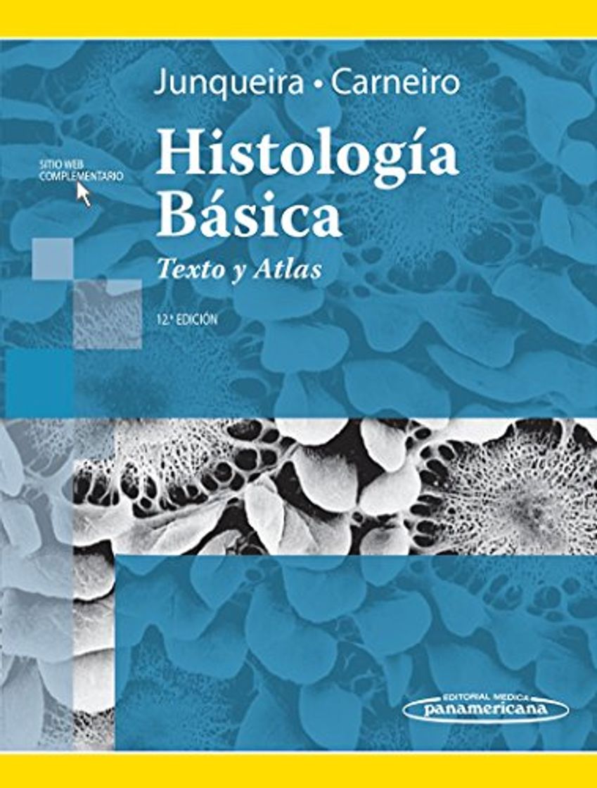 Book HISTOLOGÍA BÁSICA