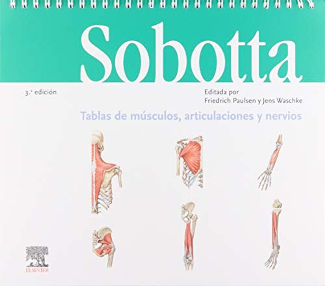 Books Sobotta. Tablas De Músculos, Articulaciones Y Nervios - 3ª Edición