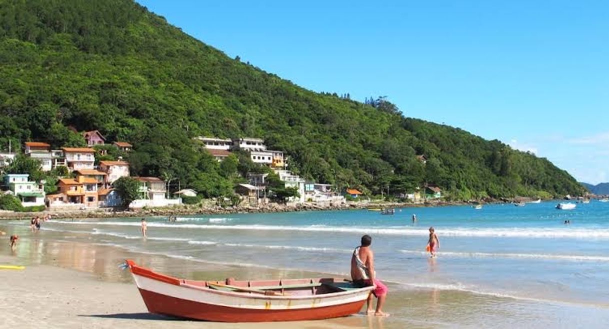 Lugar Praia do Pântano do Sul