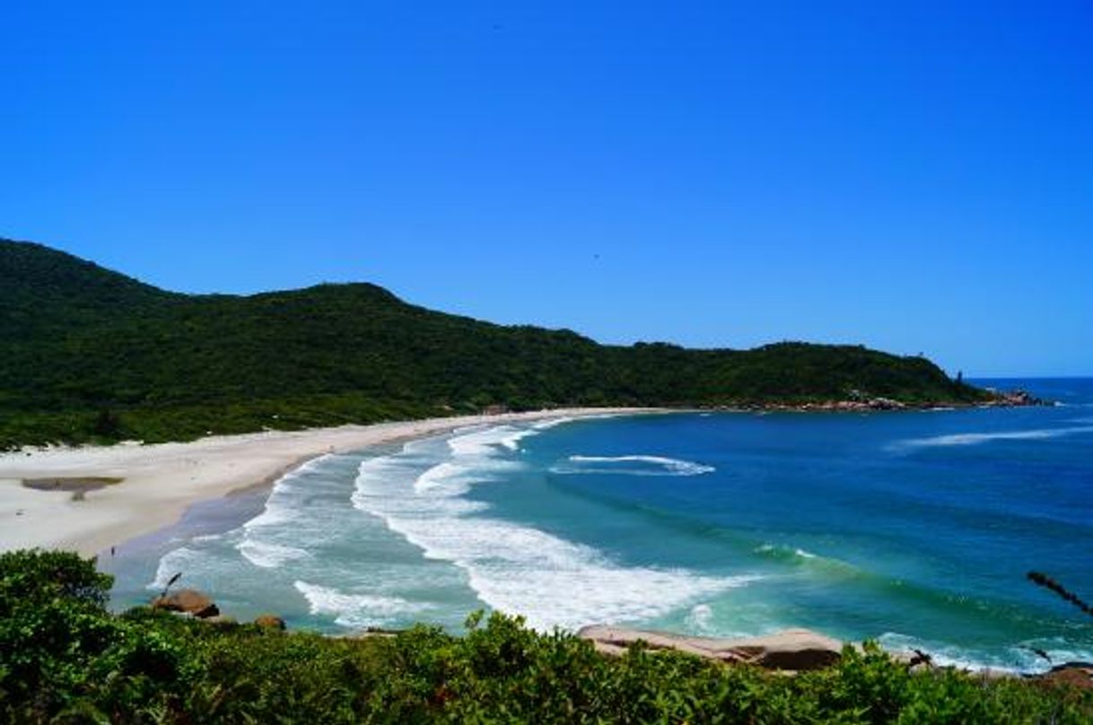 Lugar Praia de Naufragados