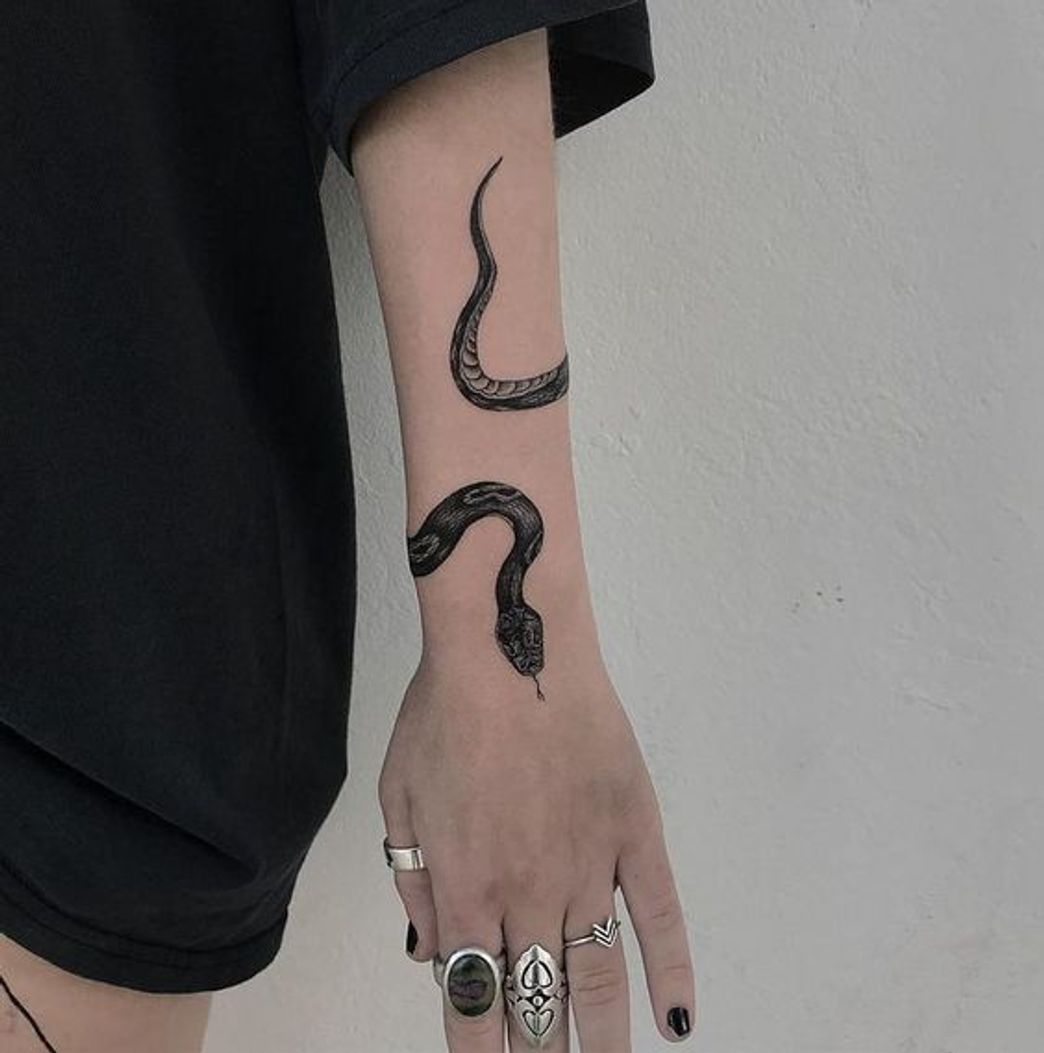 Fashion Tatuagem cobra