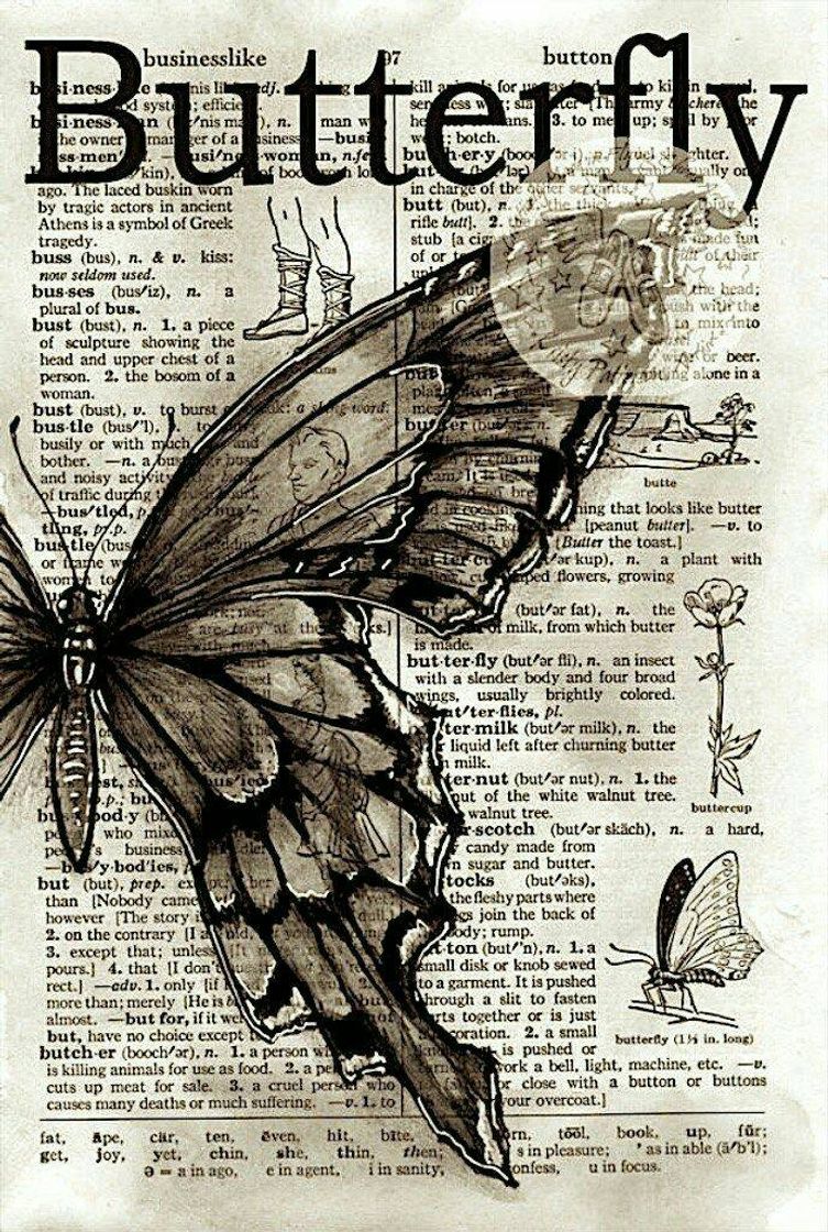 Moda Wallpaper Butterfly