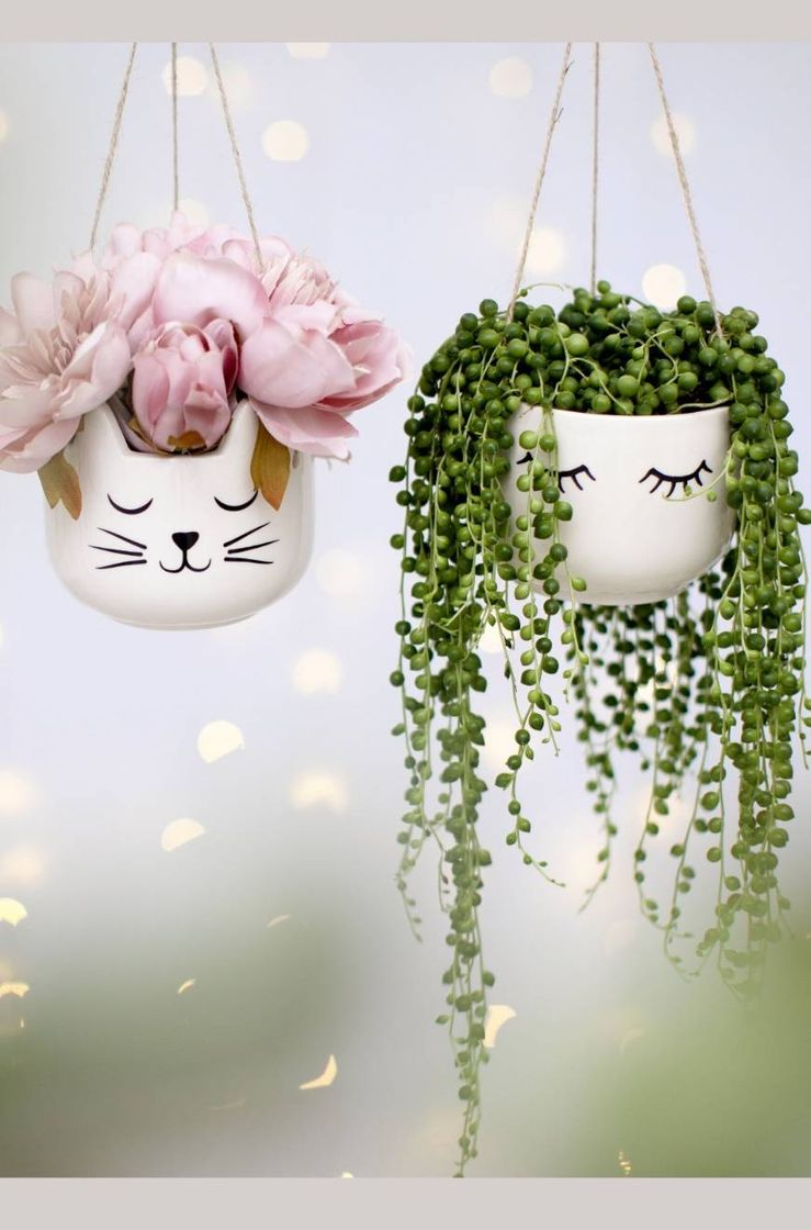 Fashion Vasos para suas plantinhas ou florzinhas