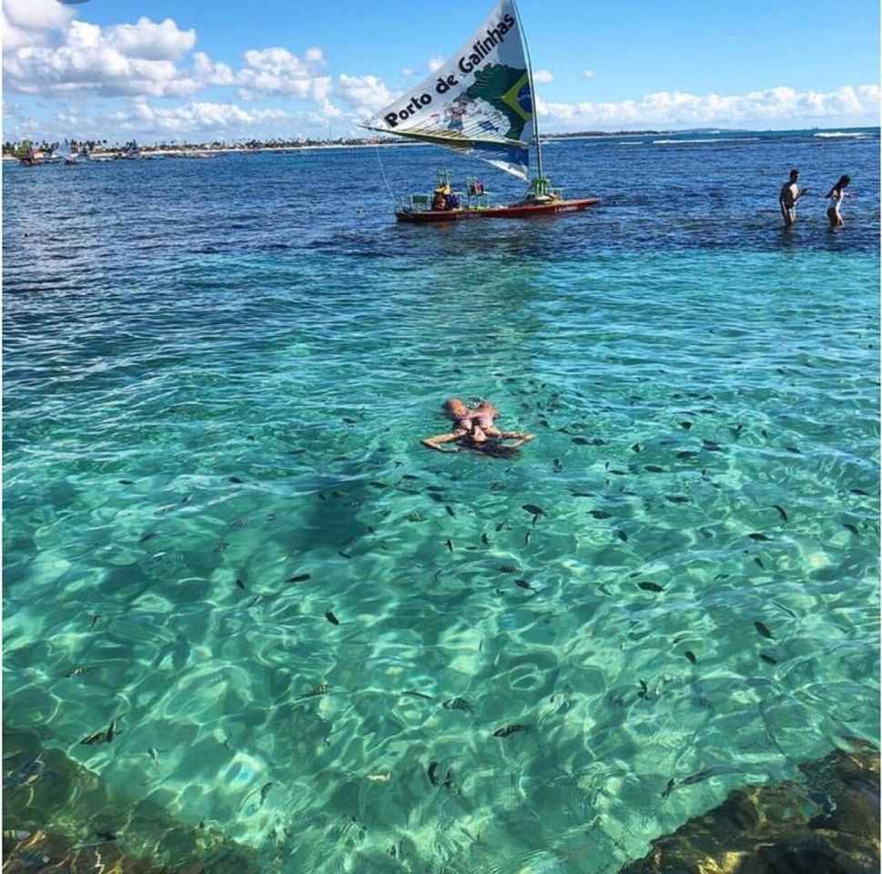 Lugar Porto de Galinhas