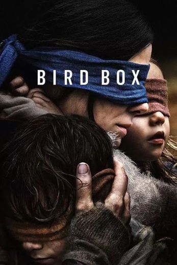 A caixa de Pássaros 