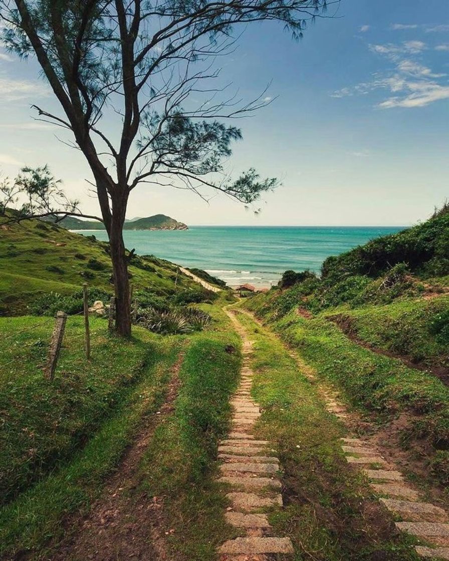 praia do rosa 