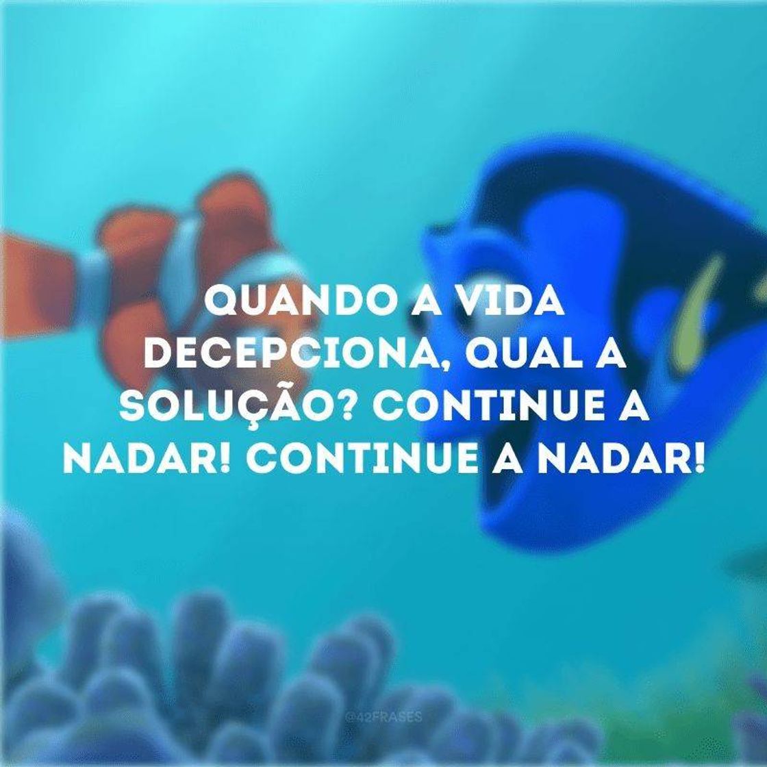 Fashion Plano do fundo, frase do filme procurando Nemo.