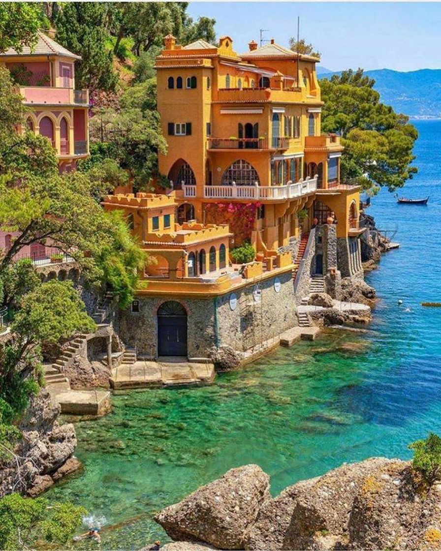 Social Portofino 
