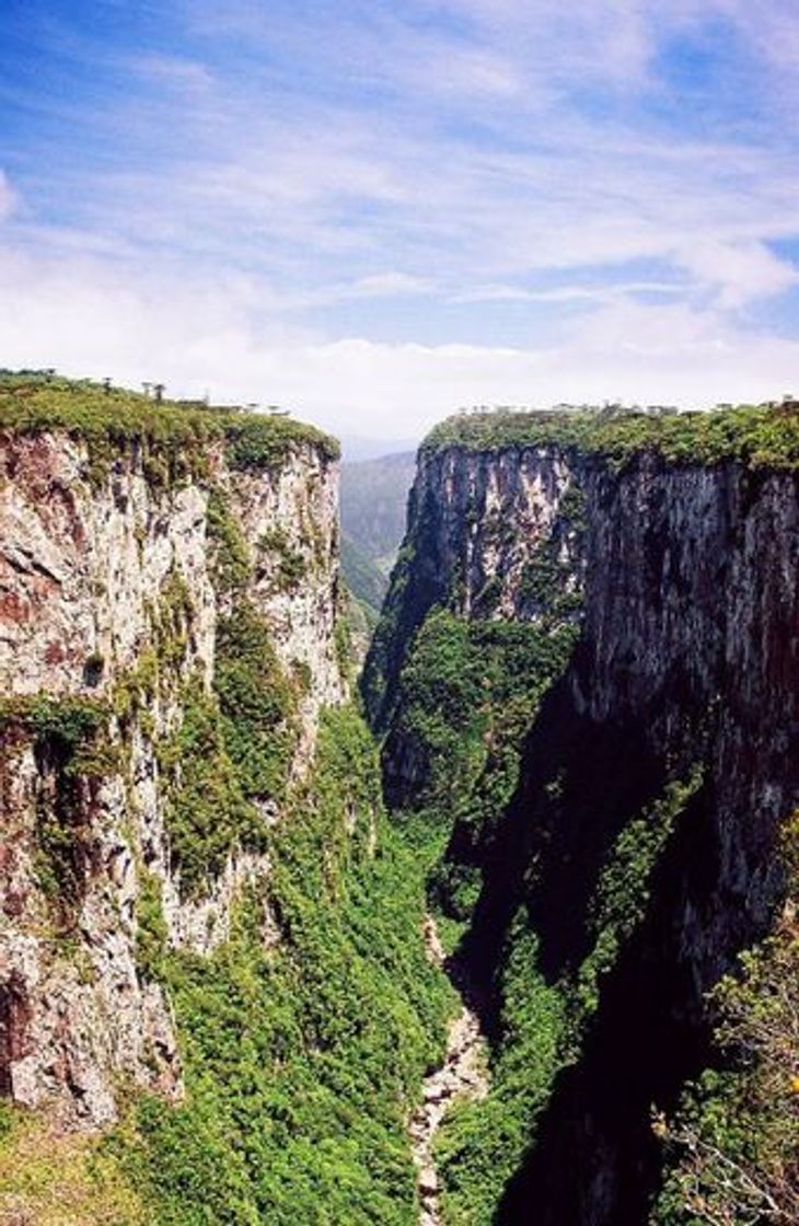 Place Serra da Cutia