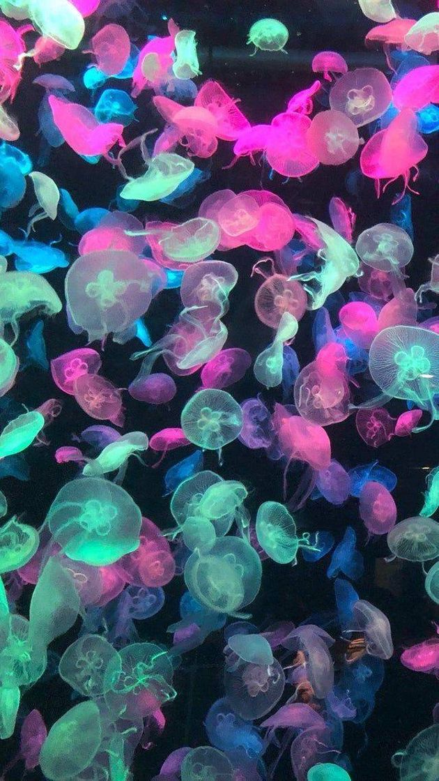 Moda Neon jellyfish